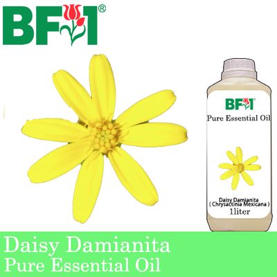 Pure Essential Oil (EO) - Daisy Damianita ( Chrysactinia Mexicana ) Essential Oil - 1L