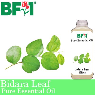 Pure Essential Oil (EO) - Bidara Leaf (Zizyphus Mauritiana ) Essential Oil - 1L Pure Essential Oil (EO) - Bidara Leaf (Zizyphus Mauritiana ) Essential Oil - 1L