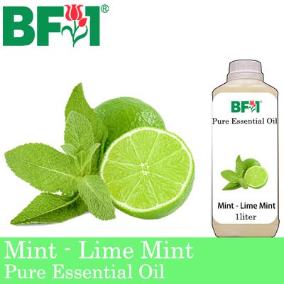 Pure Essential Oil (EO) - Mint - Lime Mint Essential Oil - 1L
