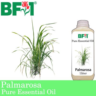 Pure Essential Oil (EO) - Palmarosa Essential Oil - 1L