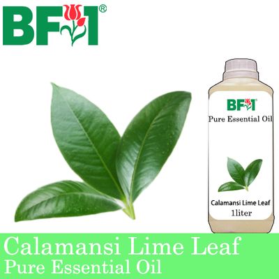 Pure Essential Oil (EO) - Lime - Calamansi Lime Leaf Essential Oil - 1L
