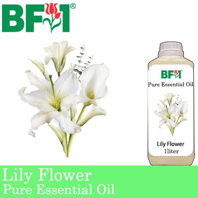 Pure Essential Oil (EO) - Lily Flower Essential Oil - 1L