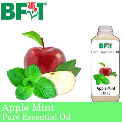 Pure Essential Oil (EO) - Mint - Apple Mint ( Mentha Suaveolens ) Essential Oil - 1L