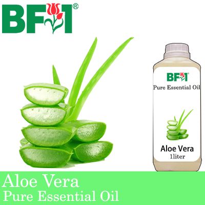 Pure Essential Oil (EO) - Aloe Vera Essential Oil - 1L