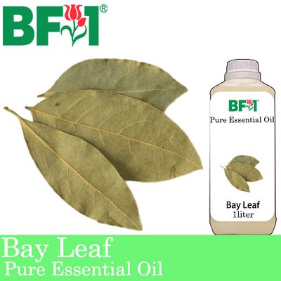 Pure Essential Oil (EO) - Bay Leaf Essential Oil - 1L