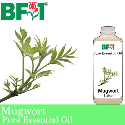 Pure Essential Oil (EO) - Mugwort Essential Oil - 1L