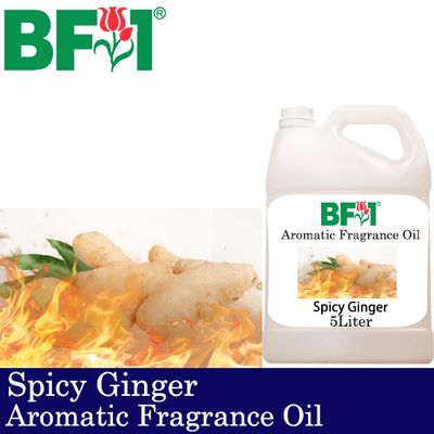 Aromatic Fragrance Oil (AFO) - Spicy Ginger - 5L