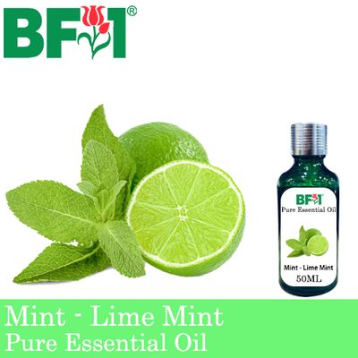 Pure Essential Oil (EO) - Mint - Lime Mint Essential Oil - 50ml