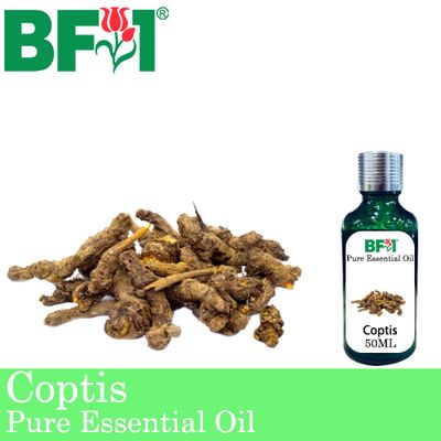 Pure Essential Oil (EO) - Coptis (Coptis Japonica) Essential Oil - 50ml