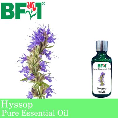 Pure Essential Oil (EO) - Hyssop Essential Oil - 50ml