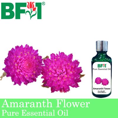 Pure Essential Oil (EO) - Amaranth Flower Essential Oil - 50ml