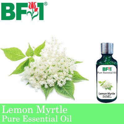 Pure Essential Oil (EO) - Lemon Myrtle Essential Oil - 50ml