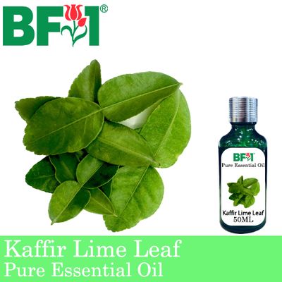 Pure Essential Oil (EO) - Lime - Kaffir Lime Leaf Essential Oil - 50ml