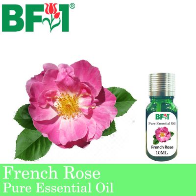 Pure Essential Oil (EO) - Rose - French Rose Essential Oil - 10ml