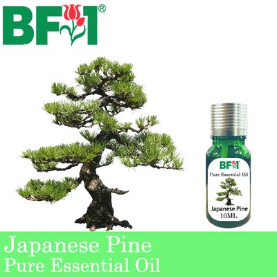 Pure Essential Oil (EO) - Pine - Japanese Pine Essential Oil - 10ml