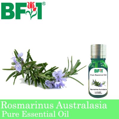 Pure Essential Oil (EO) - Rosmarinus Australasia Essential Oil - 10ml