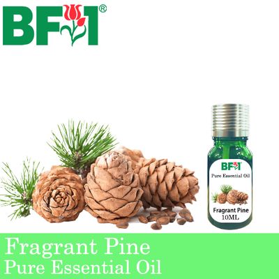 Pure Essential Oil (EO) - Pine - Fragrant Pine Essential Oil - 10ml