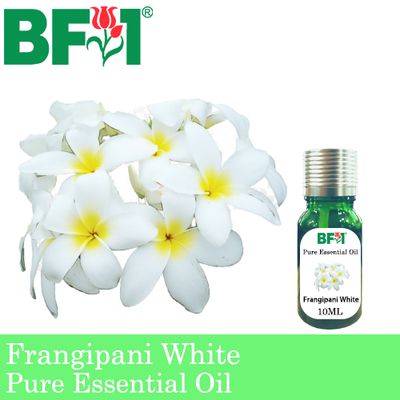Pure Essential Oil (EO) - Frangipani White Essential Oil - 10ml