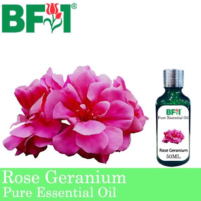 Pure Essential Oil (EO) - Geranium - Rose Geranium Essential Oil - 50ml