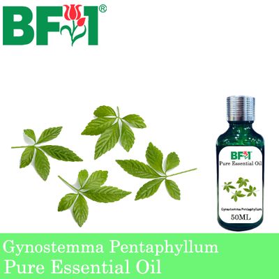 Pure Essential Oil (EO) - Gynostemma Pentaphyllum Essential Oil - 50ml