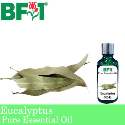 Pure Essential Oil (EO) - Eucalyptus Essential Oil - 50ml