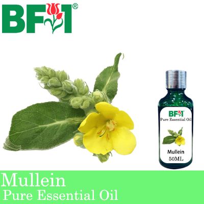 Pure Essential Oil (EO) - Mullein Essential Oil - 50ml