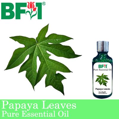 Pure Essential Oil (EO) - Papaya Leaves Essential Oil - 50ml