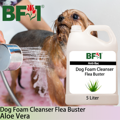 Dog Foam Cleanser Flea Buster (DFC-Dog) - Aloe Vera - 5L ⭐⭐⭐⭐⭐