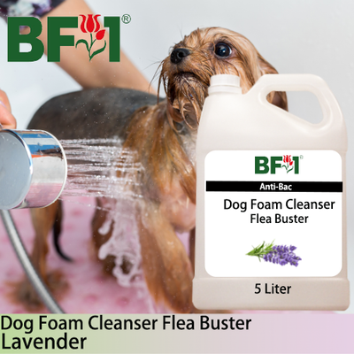 Dog Foam Cleanser Flea Buster (DFC-Dog) - Lavender - 5L ⭐⭐⭐⭐⭐