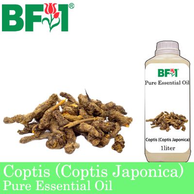 Pure Essential Oil (EO) - Coptis (Coptis Japonica) Essential Oil - 1L Pure Essential Oil (EO) - Coptis (Coptis Japonica) Essential Oil - 1L