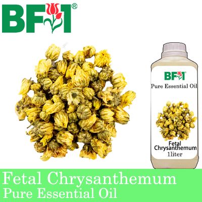 Pure Essential Oil (EO) - Fetal Chrysanthemum Essential Oil - 1L