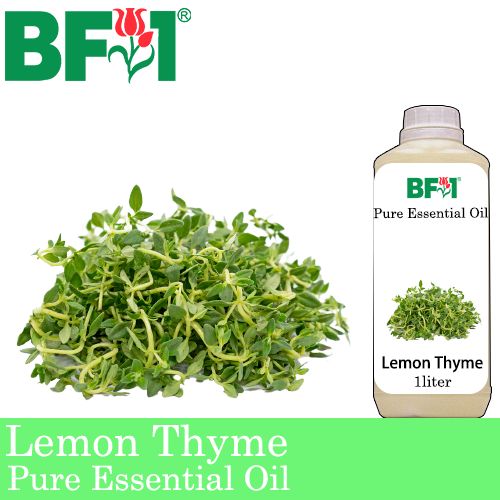 Pure Essential Oil (EO) - Thyme - Lemon Thyme Essential Oil - 1L
