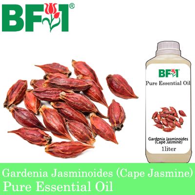 Pure Essential Oil (EO) - Gardenia Jasminoides (Cape Jasmine) Essential Oil - 1L