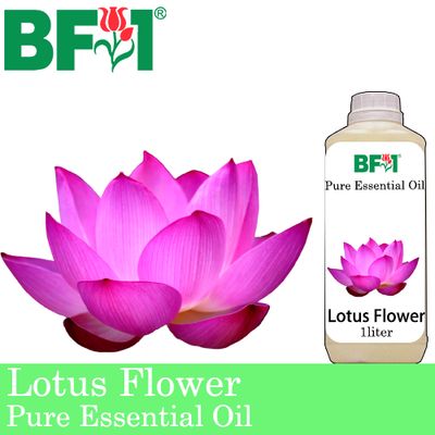 Pure Essential Oil (EO) - Lotus Flower Essential Oil - 1L