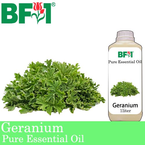 Pure Essential Oil (EO) - Geranium Essential Oil - 1L