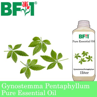 Pure Essential Oil (EO) - Gynostemma Pentaphyllum Essential Oil - 1L