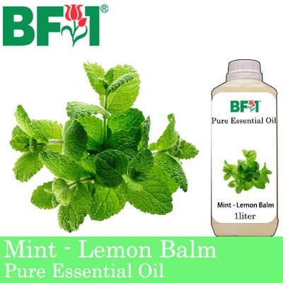 Pure Essential Oil (EO) - Mint - Lemon Balm ( Melissa Officinalis ) Essential Oil - 1L