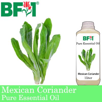 Pure Essential Oil (EO) - Mexican Coriander ( Eryngium Foetidum ) Essential Oil - 1L