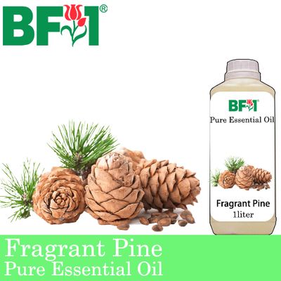 Pure Essential Oil (EO) - Pine - Fragrant Pine Essential Oil - 1L