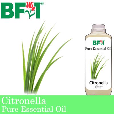 Pure Essential Oil (EO) - Citronella ( Java Citronella ) Essential Oil - 1L