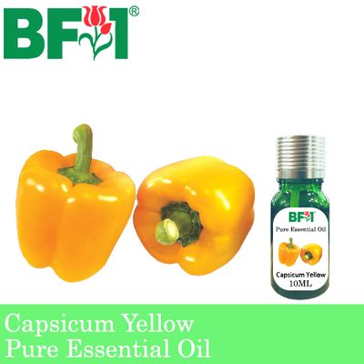 Pure Essential Oil (EO) - Capsicum Yellow Essential Oil - 10ml