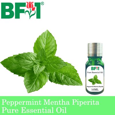 Pure Essential Oil (EO) - Mint - Peppermint ( Mentha Piperita ) Essential Oil - 10ml