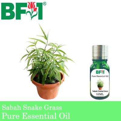 Pure Essential Oil (EO) - Sabah Snake Grass Essential Oil - 10ml