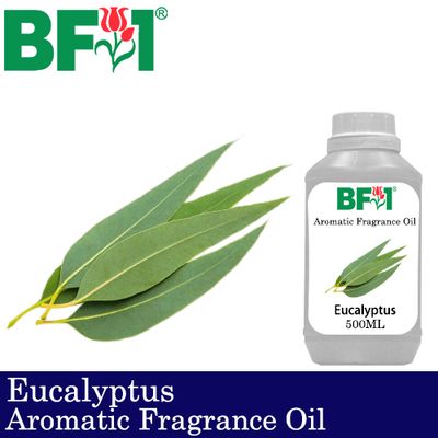 Aromatic Fragrance Oil (AFO) - Eucalyptus - 500ml