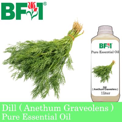 Pure Essential Oil (EO) - Dill ( Anethum Graveolens ) Essential Oil - 1L
