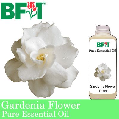 Pure Essential Oil (EO) - Gardenia Flower Essential Oil - 1L