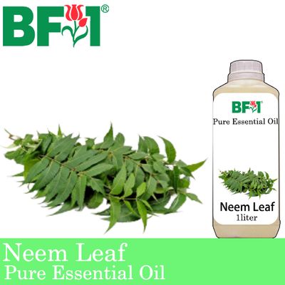 Pure Essential Oil (EO) - Neem Leaf Essential Oil - 1L Pure Essential Oil (EO) - Neem Leaf Essential Oil - 1L
