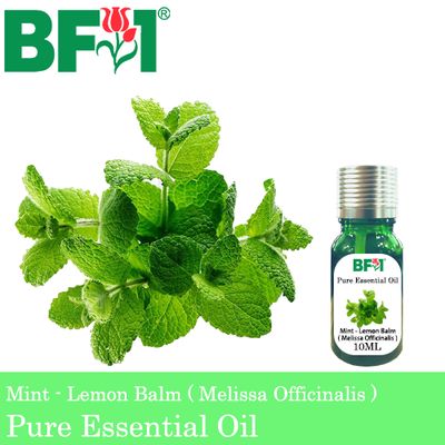 Pure Essential Oil (EO) - Mint - Lemon Balm ( Melissa Officinalis ) Essential Oil - 10ml