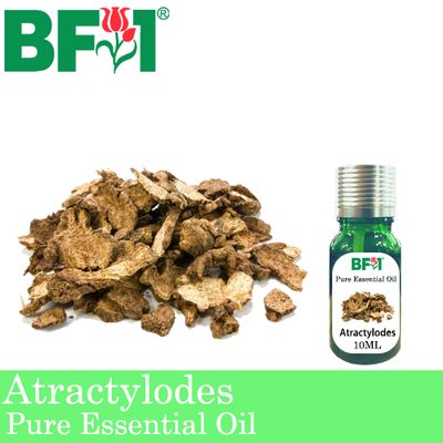 Pure Essential Oil (EO) - Atractylodes Essential Oil - 10ml
