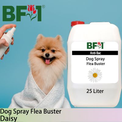 Dog Spray Flea Buster (DSY-Dog) - Daisy - 25L ⭐⭐⭐⭐⭐